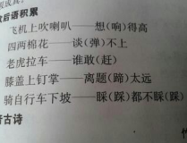 汉字谐音,汉字中的趣味与智慧