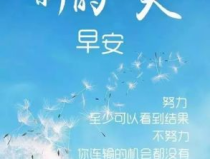 每天励志正能量的句子大全,激励心灵的励志名言集锦